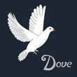 Bird dove vector illustration