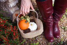 Woman In Red Boots Picking Up Basket Of Fall Gourds