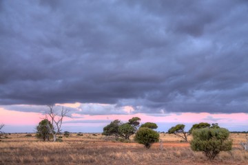 Poster - Nullarbor Plain, Australia