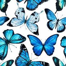 Watercolor Butterfly Pattern Vector