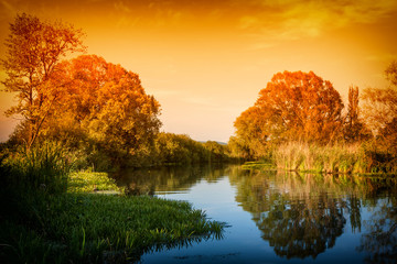 Wall Mural - Sunset still life