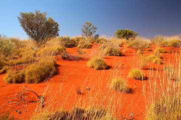 Sticker - Outback Australia