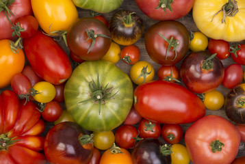 Collection of various tomatoes, top view