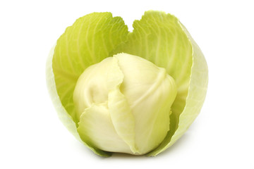 Wall Mural - Cabbage