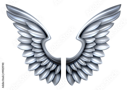 Silver Metal Wings