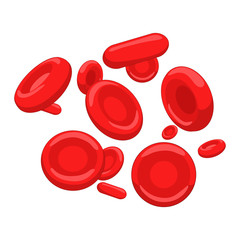 Red blood cell erythrocyte vector illustration