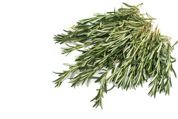 Poster - Fresh green sprig of rosemary