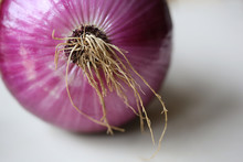 Close Up Of Fresh Organic Red Onion