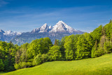 Fototapeta Góry - Watzmann mountain with green meadows and trees, Bavaria, Germany