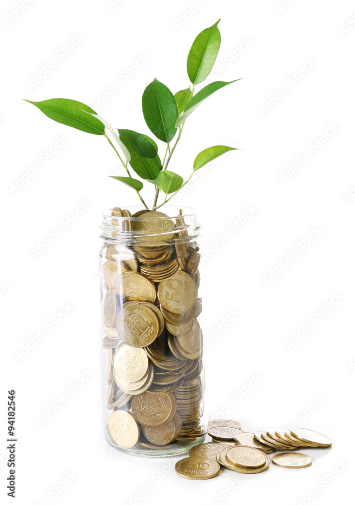 Plant growing in coins isolated on white