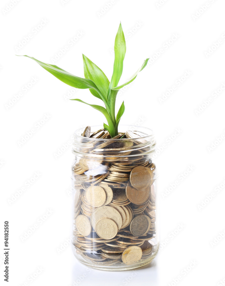 Plant growing in coins isolated on white