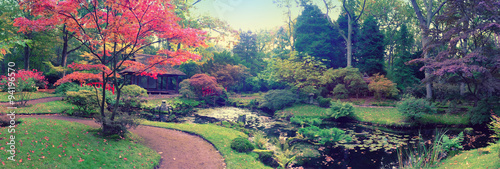 Fotografia autumn in Japanese park, panorama