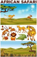 Poster - Safari theme with wild animals in the field