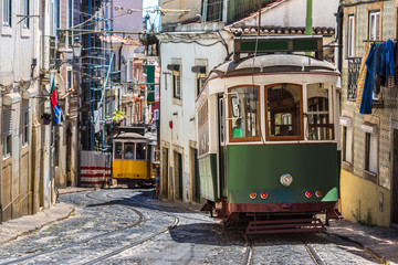 Wall Mural - Lisbon tram