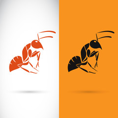 Poster - Vector image of a ant design on white background and orange back