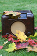 antikes Radio mit buntem Herbstlaub im Garten