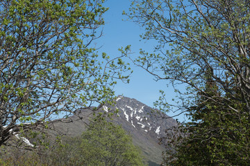 Sticker - Mountain Landscape