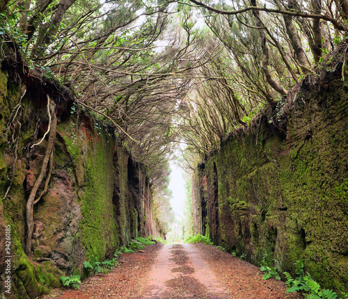 Obraz w ramie Road through rocks, Tenerife, Spain