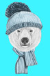 © Victoria Novak - Portrait of Polar Bear with hat and scarf. Hand drawn illustration.