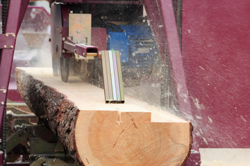 sawing boards from logs