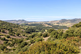 Fototapeta Natura - Gadoni, provincie Nuoro op Sardinië