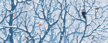 Winter Wonderland - First Snow.
Hand Drawn Vector Illustration Of First Snow Covering Trees, Woodpecker, Apples.