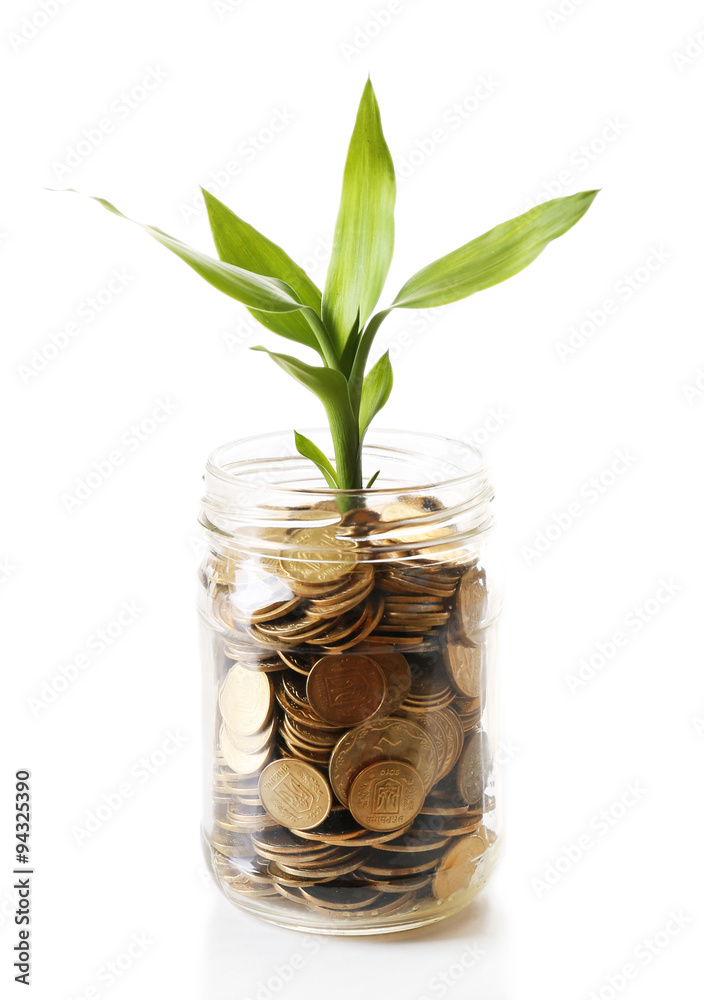 Plant growing in coins isolated on white