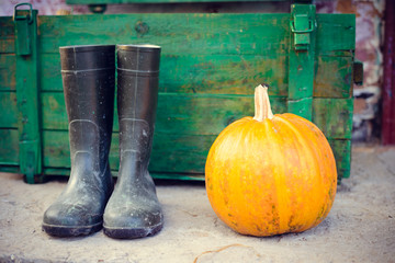 Black gumboots standing beside pumpkin and storage box in barn