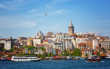 Fototapeta Sawanna - View of the passage the Gold Horn, Beyoglu's region, Galata Tower and a seagul flying in the blue sky