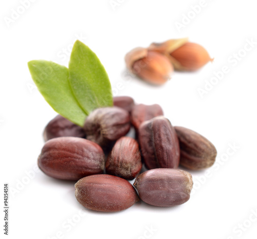 Fotografie, Obraz Jojoba (Simmondsia chinensis) leaves with seeds.