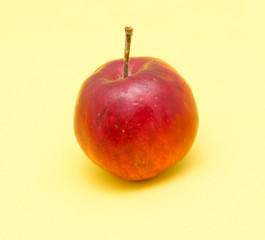 Canvas Print - ripe apple on a yellow background