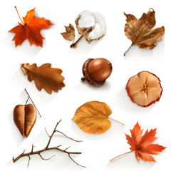 autumn scrap set, vector elements
