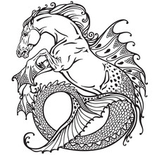 Hippocampus Or Kelpie Mythological Sea-horse . Black And White Image