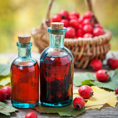Wall Mural - bottles of hawthorn berries tincture and red thorn apples in bas