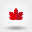Red maple leaf icon.