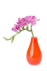 Wall Mural - Vase with orchid flower isolated on white