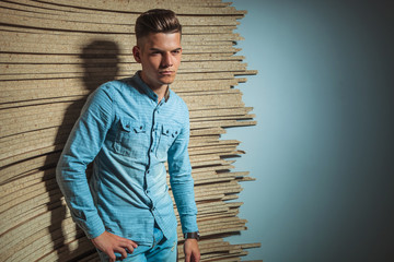 Wall Mural - man in denim posing in studio touching waist