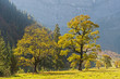 canvas print picture - Goldener Herbst im Karwendel