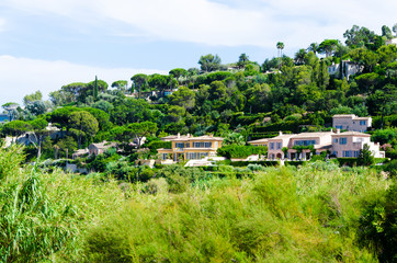 Frontage of a good green panorama