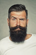 © Volodymyr - Bearded man in studio