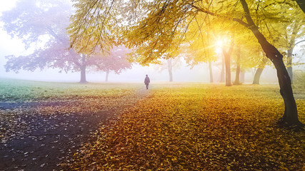 person walking in a park