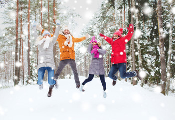 Poster - group of smiling men and women in winter forest