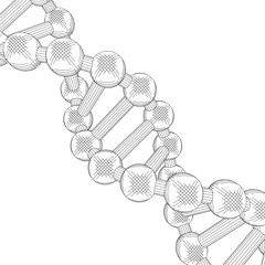 Wall Mural - Sketch the structure of DNA