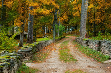 Autumn Path In The Village