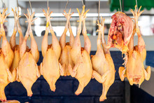 Poultry Processing Market Chicken Hook Ecuadorian Dead Fresh Hanged Chickens Displayed In Ecuadorian Market Poultry Processing Market Chicken Hook Ecuadorian Dead Fresh Commercial Animal Bird Cut Whi