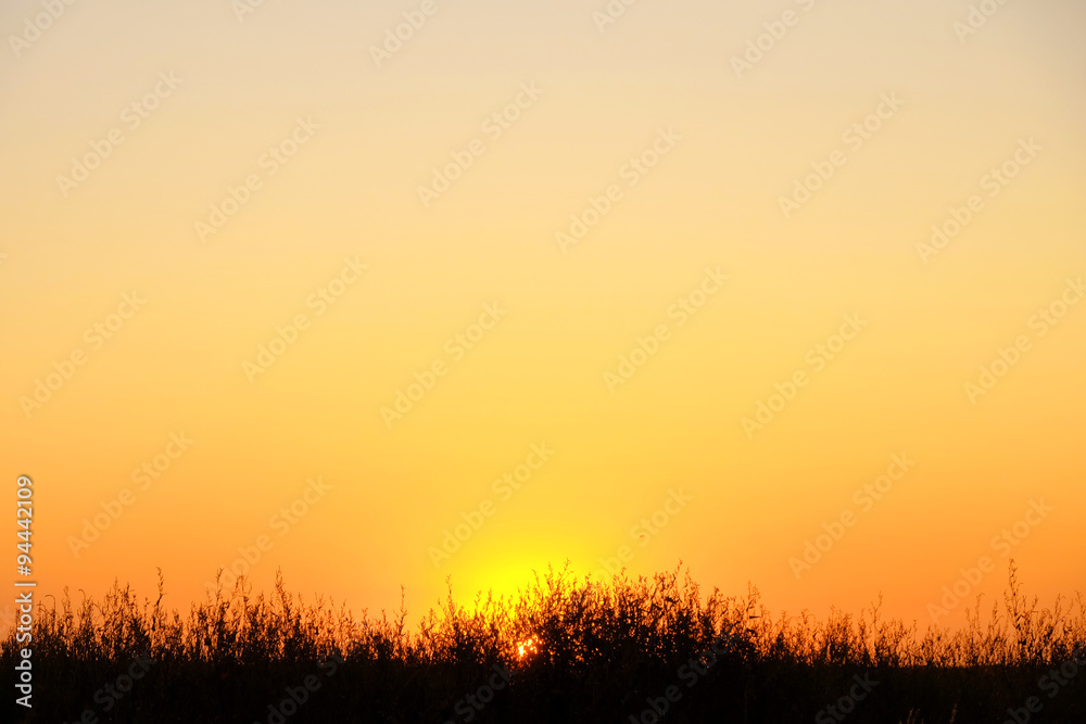 Beautiful sunrise on a field