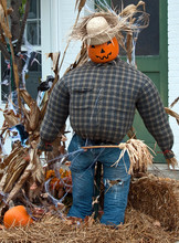 Fashionable Scarecrow