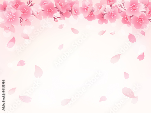 桜 背景 イラスト Stock Vector Adobe Stock