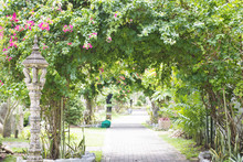 Walkway In The Shady Botanic Garden