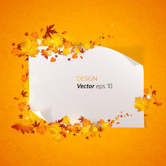 Wall Mural - White blank paper on autumn background with maple leaves. Vector